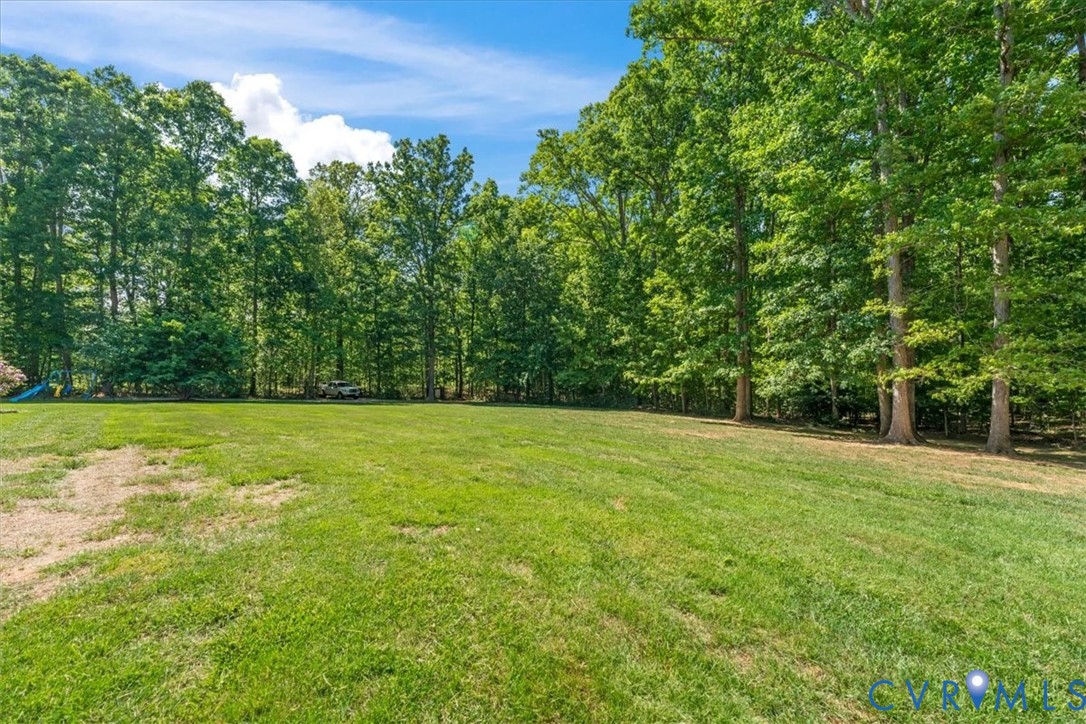 3060 Moyer Road Powhatan, VA 23139 - Photo 58 of 66 Expansive lawn with mature tree line bordering the