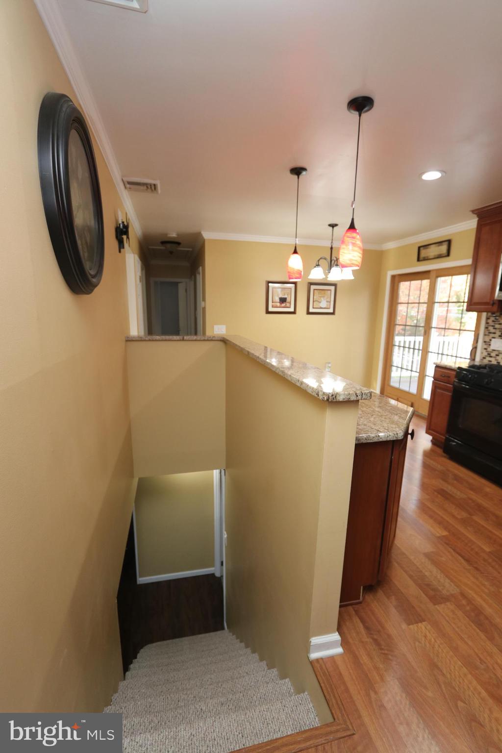 415 Atkinson Road Wilmington, DE 19804 - Photo 10 of 27 Stairs to lower level