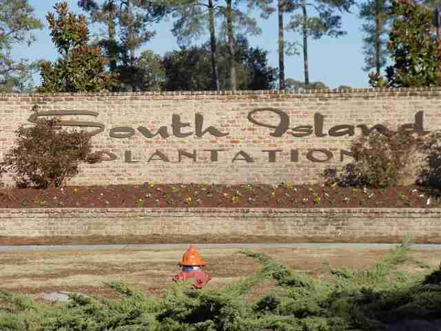 Lot 156 Commanders Island Road Georgetown, SC 29440 - Photo 1 of 9 Gallery Image 1