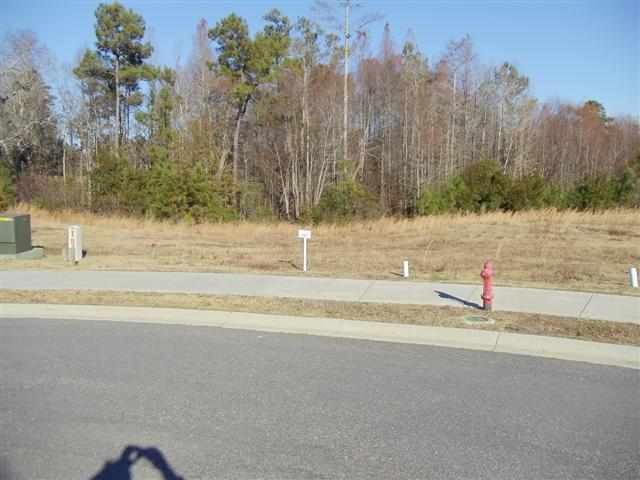 Lot 156 Commanders Island Road Georgetown, SC 29440 - Photo 4 of 9 Gallery Image 4