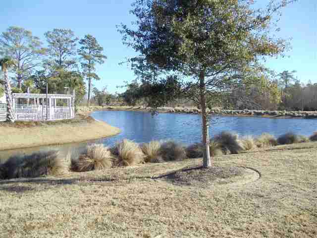 Lot 156 Commanders Island Road Georgetown, SC 29440 - Photo 7 of 9 Gallery Image 7