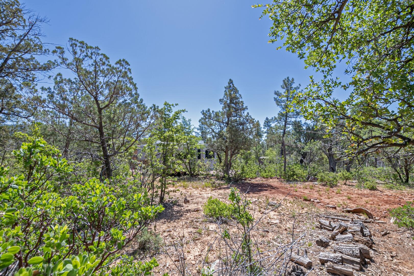 470 Pine Rd Pine Payson, AZ 85541 - Photo 6 of 17