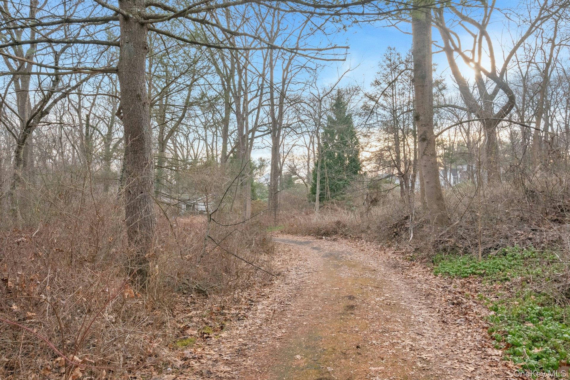 14 Glendale Road Ossining, NY 10562 - Photo 5 of 18 Long Winding Driveway, Fabulous Country Setting.