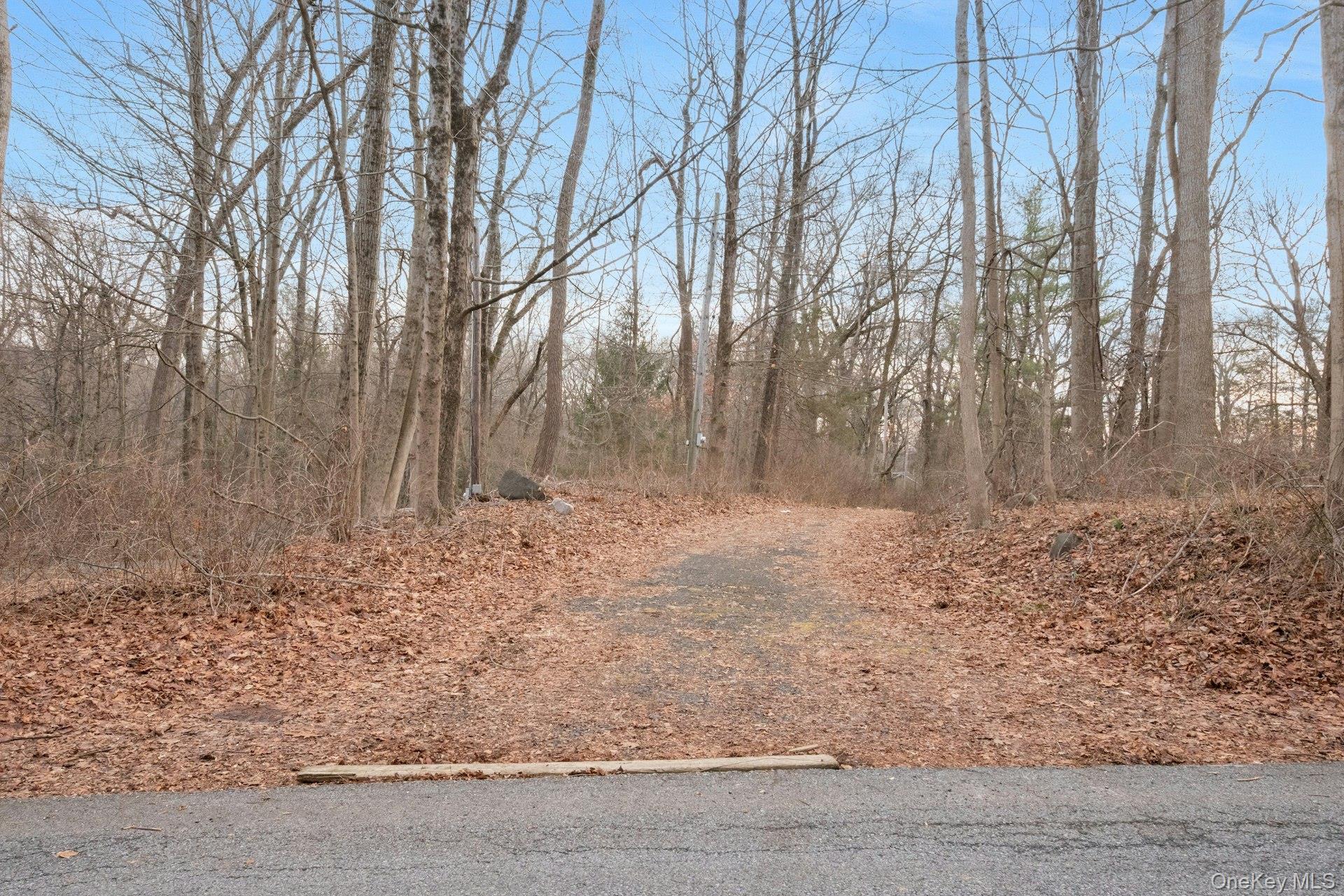 14 Glendale Road Ossining, NY 10562 - Photo 6 of 18 Long Winding Driveway, Fabulous Country Setting.