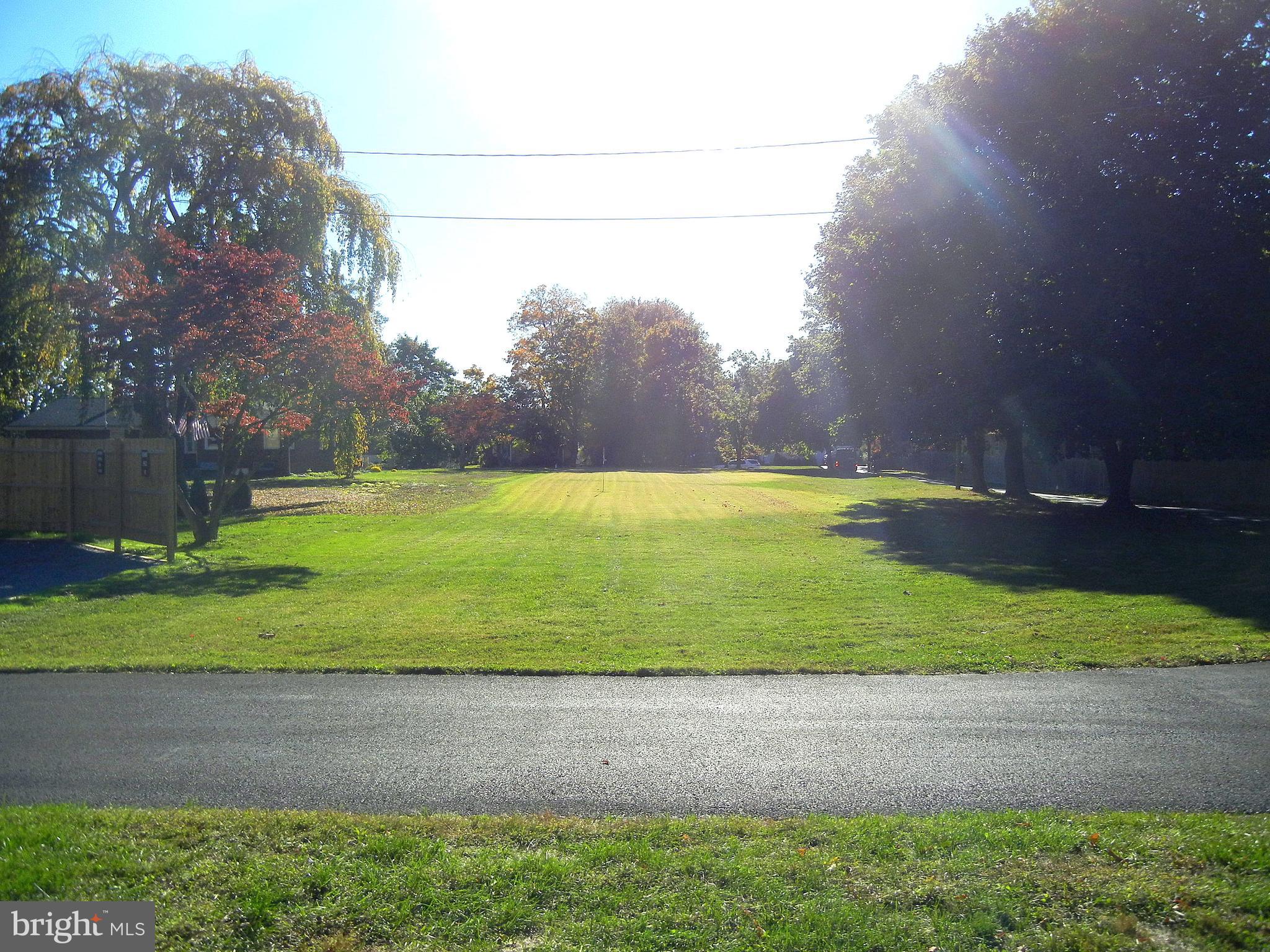 1616 North Main Street Williamstown, NJ 08094 - Photo 5 of 39 a view of a yard with a large tree