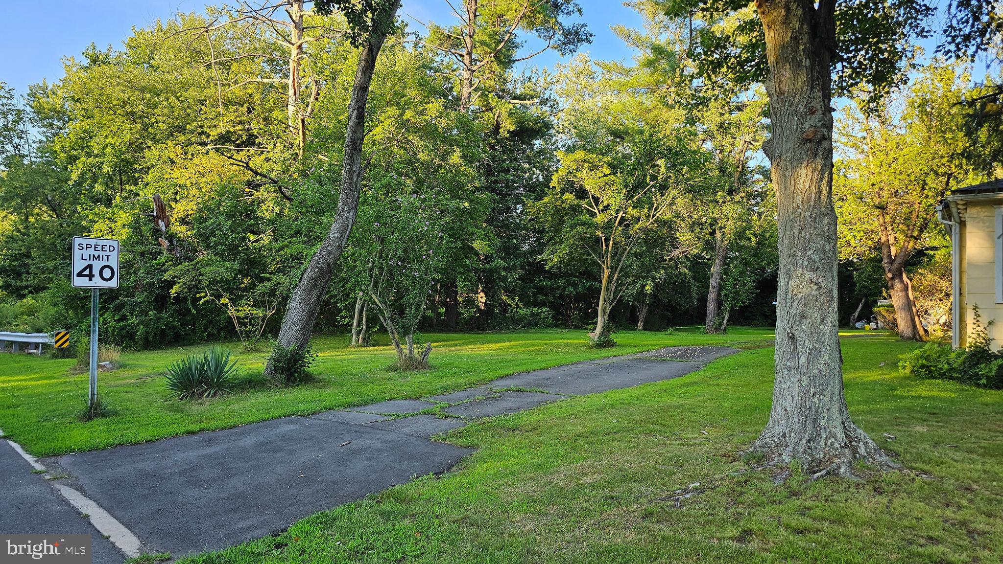 110 South Main Street Cranbury, NJ 08512 - Photo 4 of 10 a view of a backyard with large trees