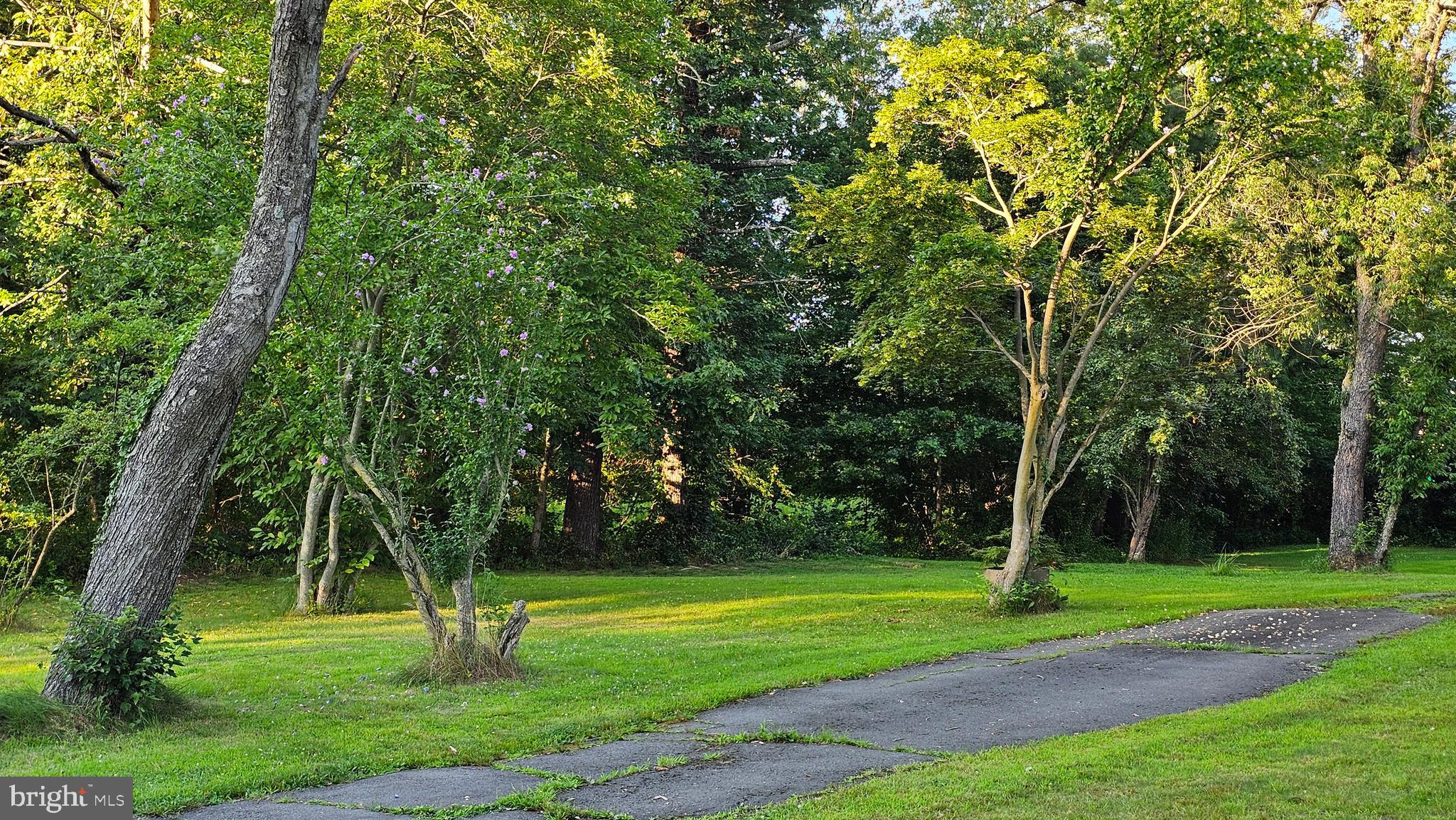 110 South Main Street Cranbury, NJ 08512 - Photo 5 of 10 a green field with lots of trees