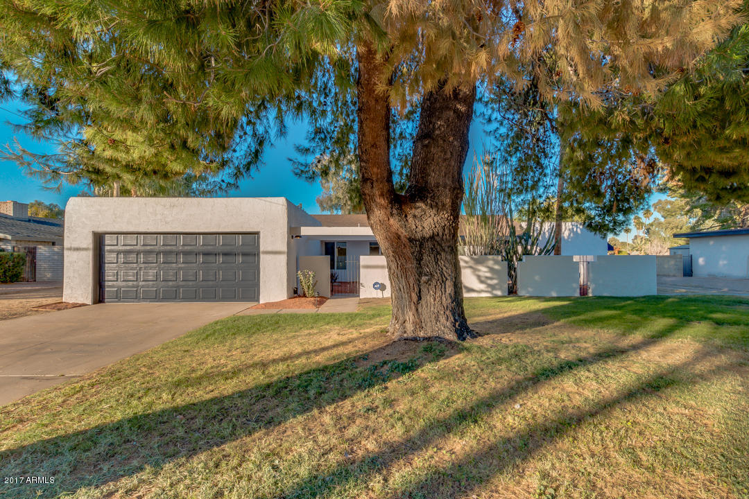 44 West Thunderbird Road Phoenix, AZ 85023 - Photo 4 of 56 04-Thunderbird