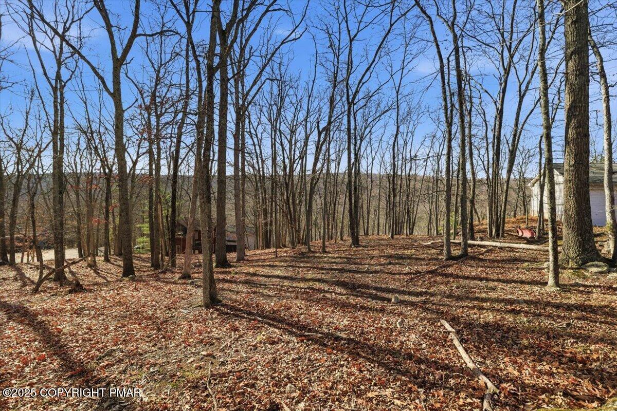 7 Exeter Way Bushkill, PA 18324 - Photo 11 of 13 a view of park space with large trees