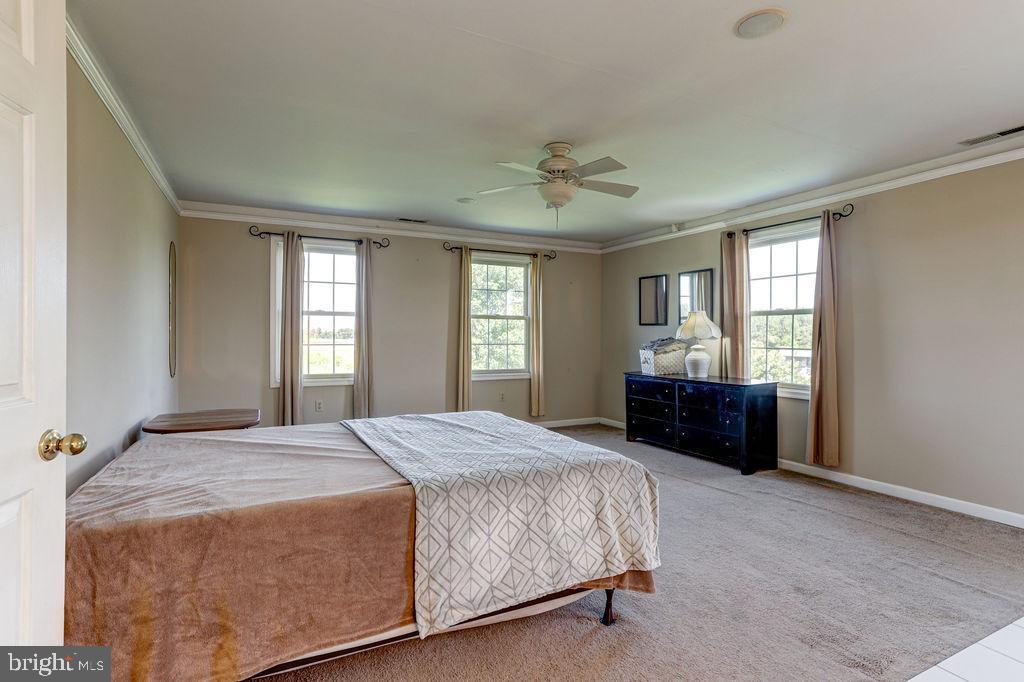 11077 Garland Road Denton, MD 21629 - Photo 15 of 52 Primary Bedroom
