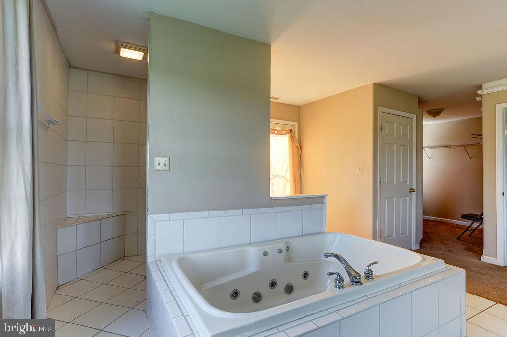 11077 Garland Road Denton, MD 21629 - Photo 18 of 52 Walk in open shower large jacuzzi tub