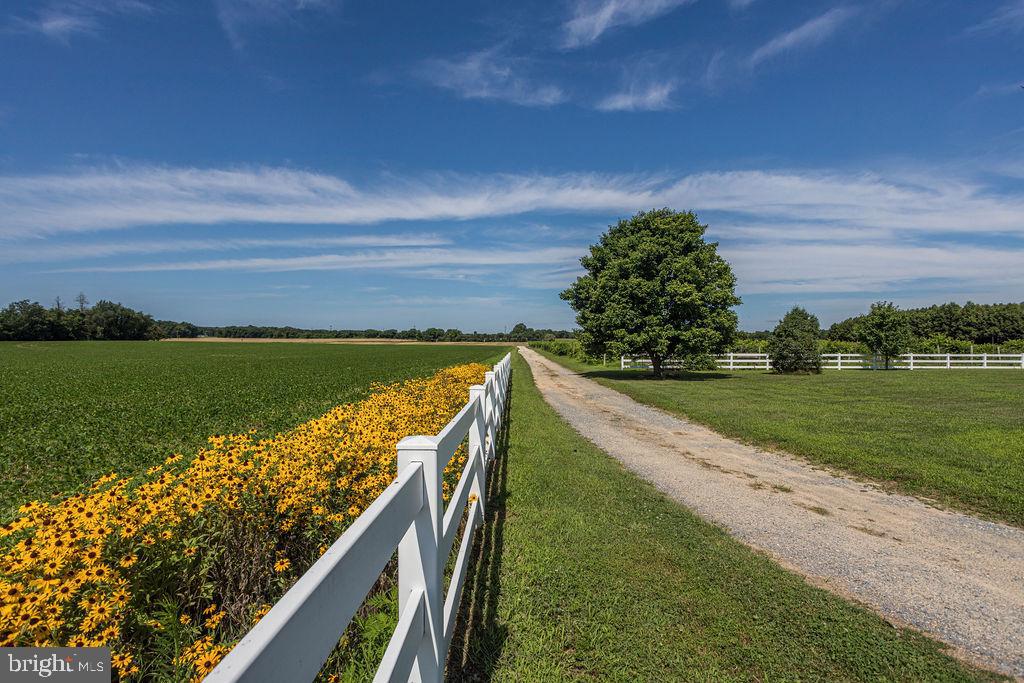 11077 Garland Road Denton, MD 21629 - Photo 50 of 52