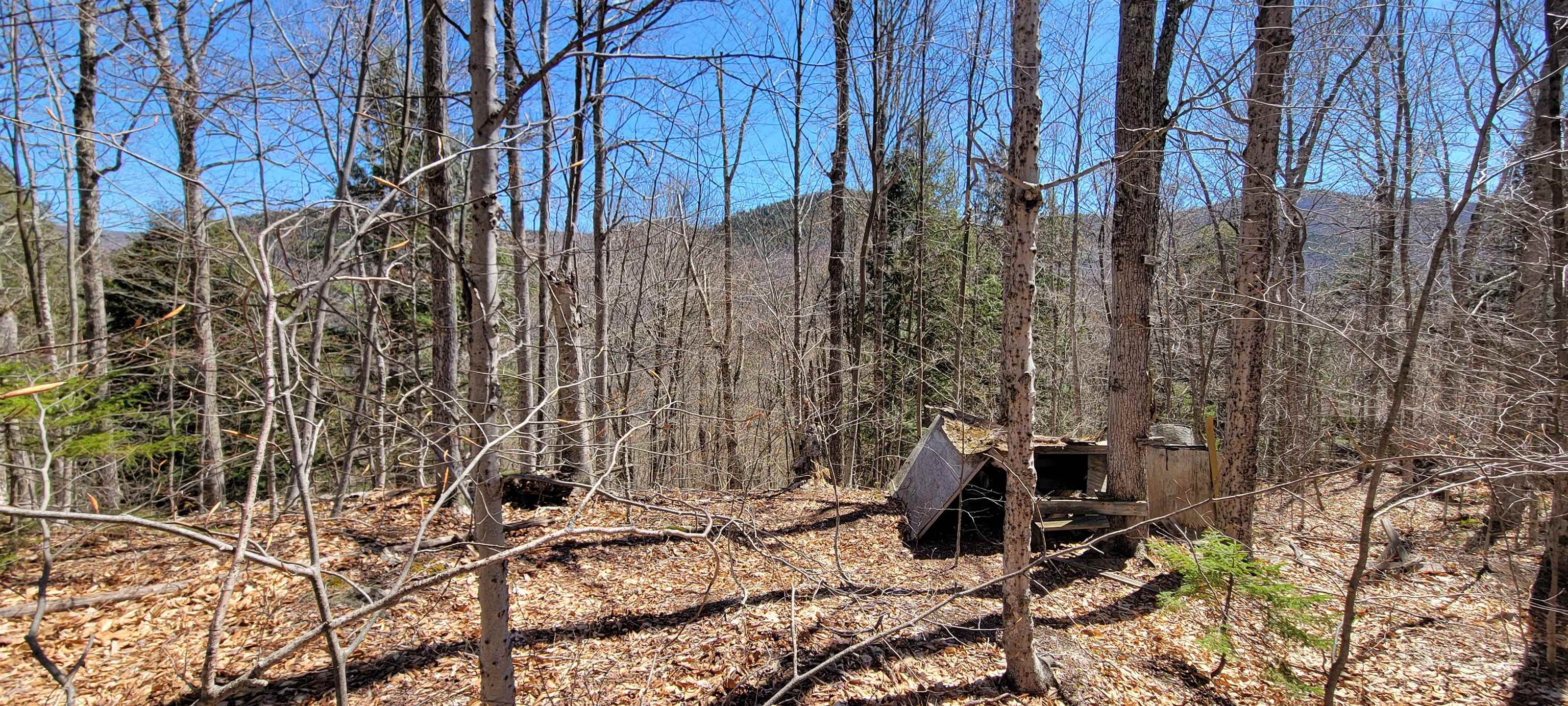 7 Spring Hill Road, Unit 7 Killington, VT 05751 - Photo 4 of 5