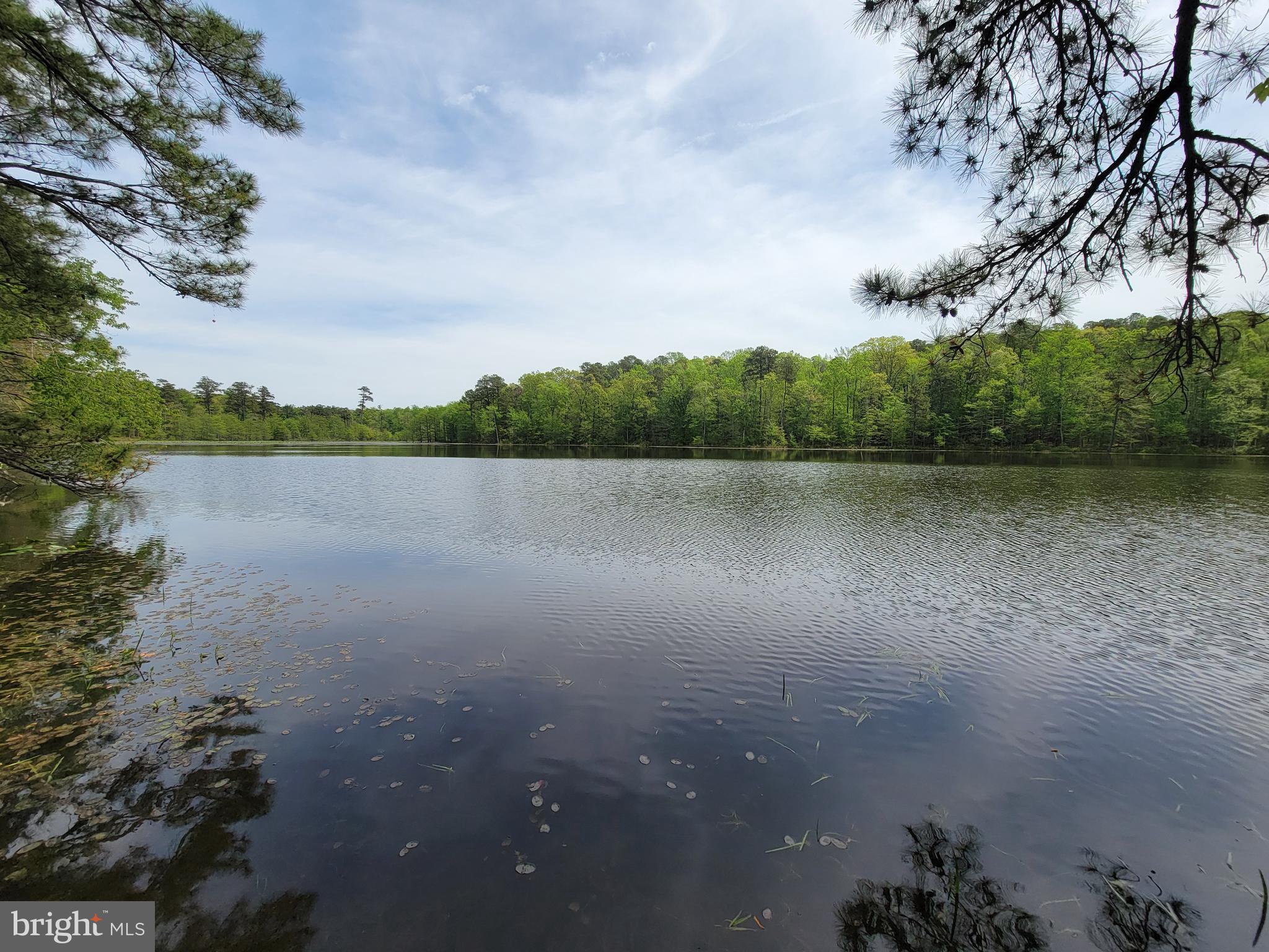 20161 Tower Hill Road Leonardtown, MD 20650 - Photo 13 of 56 Community lake
