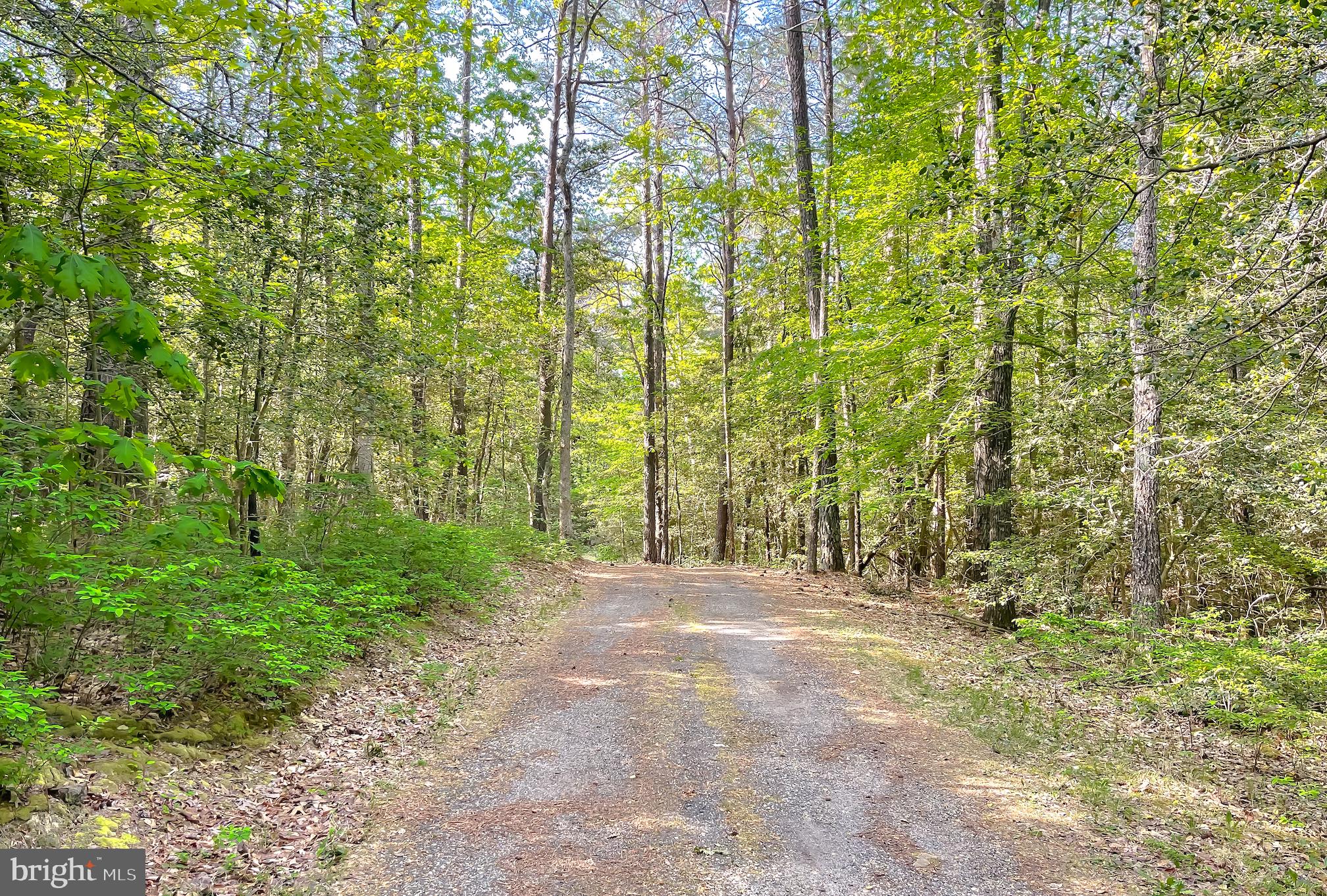 20161 Tower Hill Road Leonardtown, MD 20650 - Photo 16 of 56 Private driveway