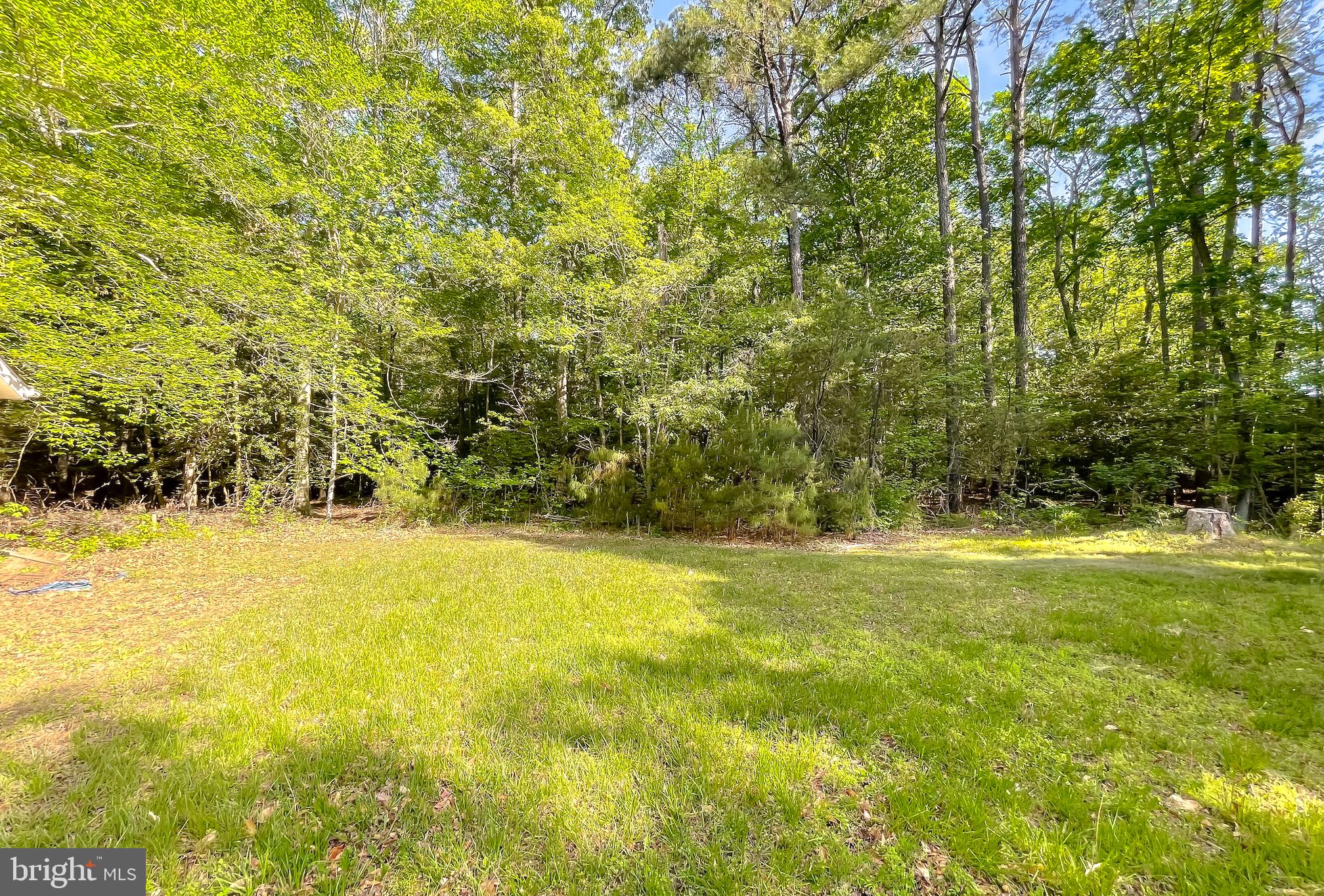 20161 Tower Hill Road Leonardtown, MD 20650 - Photo 19 of 56 backyard with view of woods
