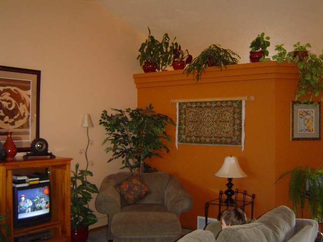 422 East Trevor Road Colbert, WA 99005 - Photo 2 of 8