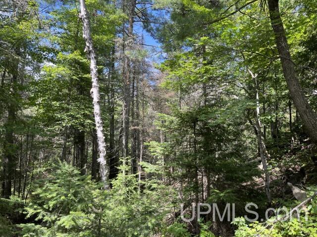 20-acres Willow Creek Road Negaunee, MI 49866 - Photo 14 of 17