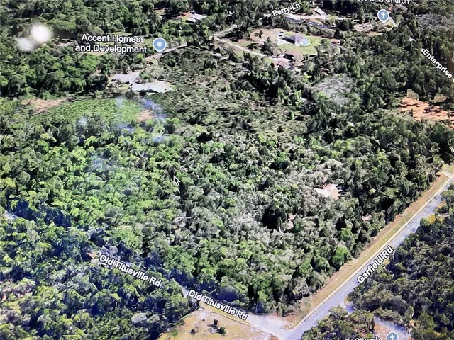 an aerial view of a forest