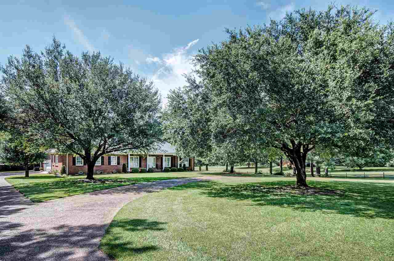 545 Burnham Road Brandon, MS 39042 - Photo 6 of 36 Photo 6
