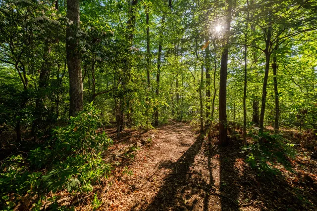 $599,000 | 51 Acorn Cove, Tracy City, TN 37387