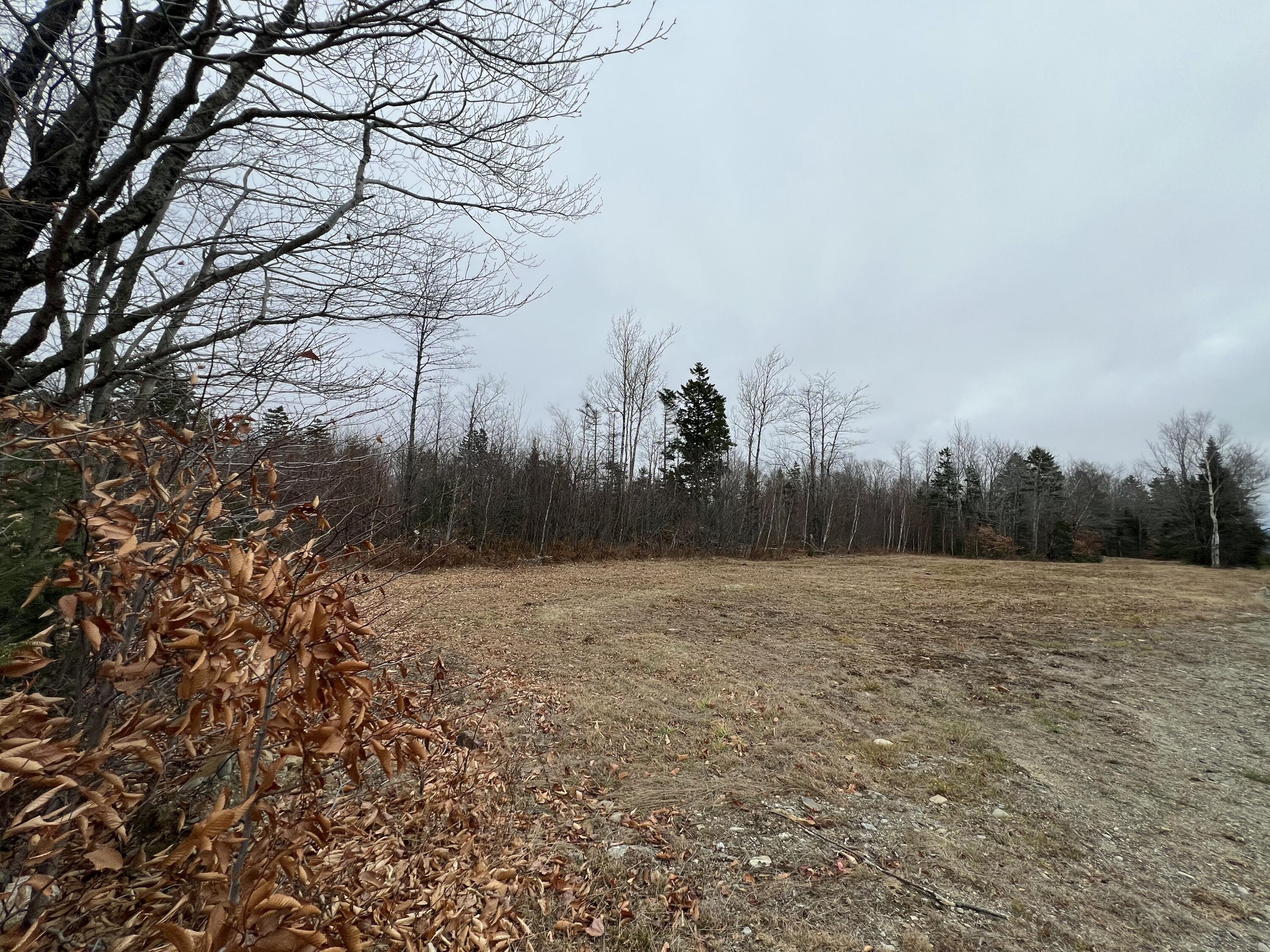 65-008 Airline Road Alexander, ME 04694 - Photo 1 of 7 IMG_5229