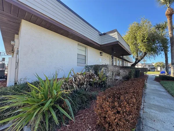 a couple of flower plants in front of door