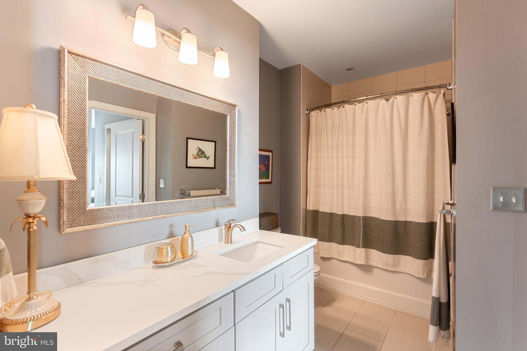 8005 13th Street, Unit 305 Silver Spring, MD 20910 - Photo 31 of 40 a bathroom with a sink and a mirror