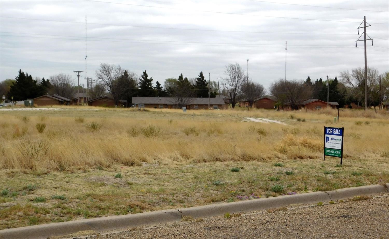 a view of a yard with an ocean view
