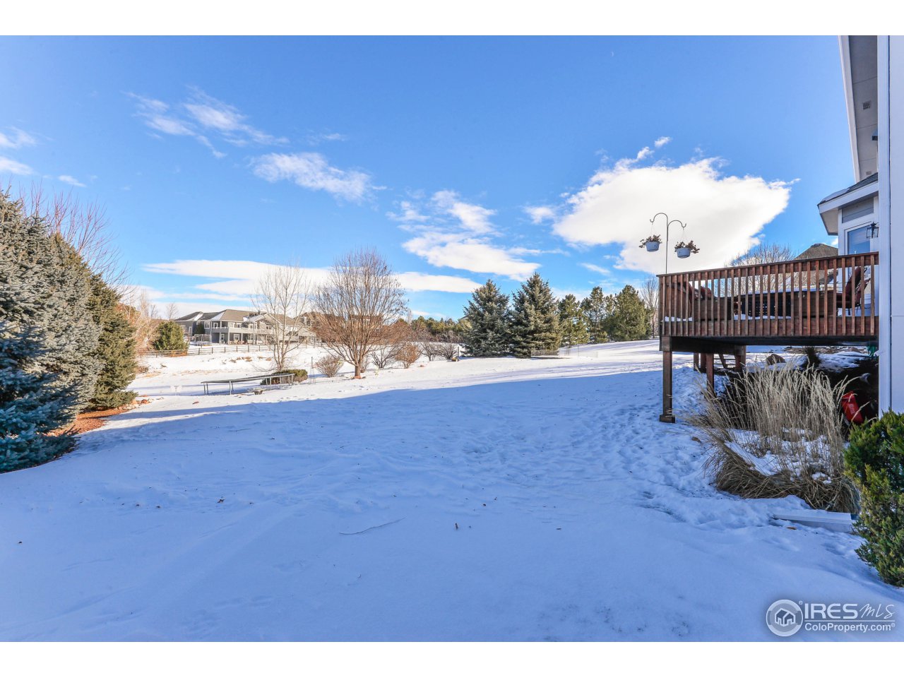 955 Ridge W Drive Windsor, CO 80550 - Photo 3 of 24 Gallery Image 3