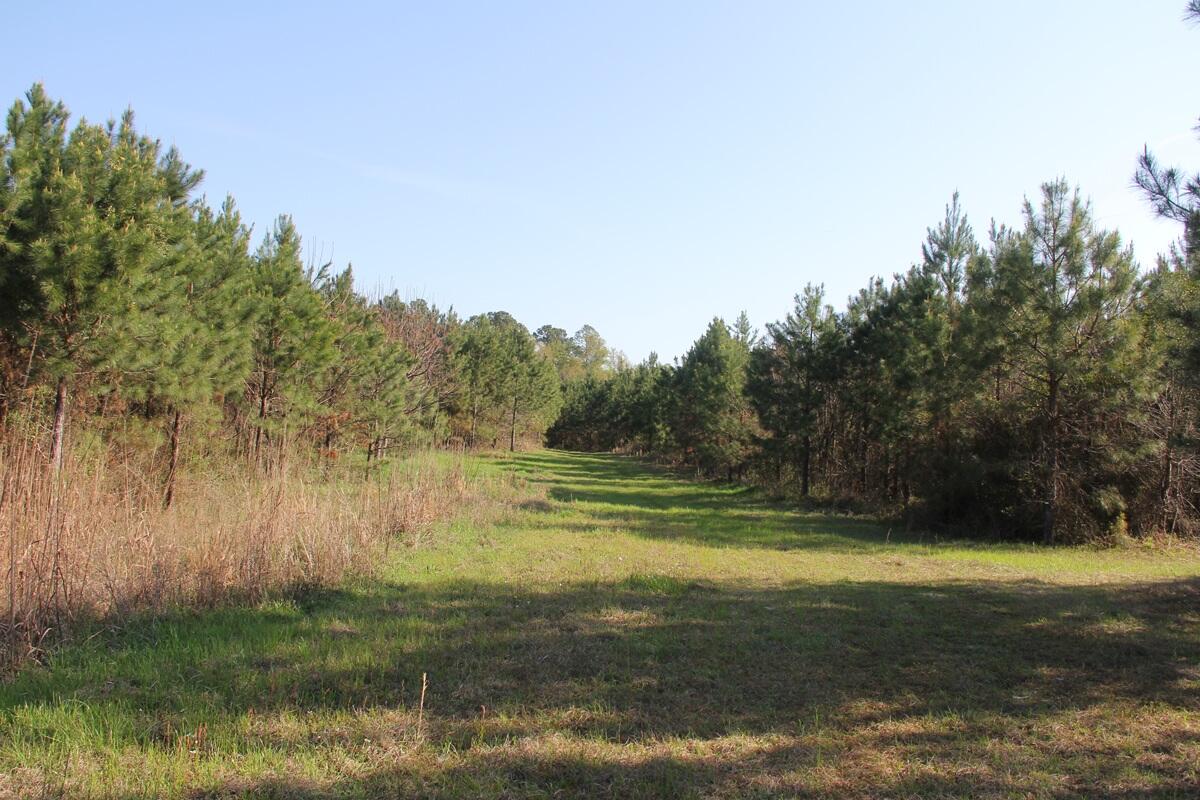 305 Ponderosa Road St. Matthews, SC 29135 - Photo 13 of 19 IMG_9868