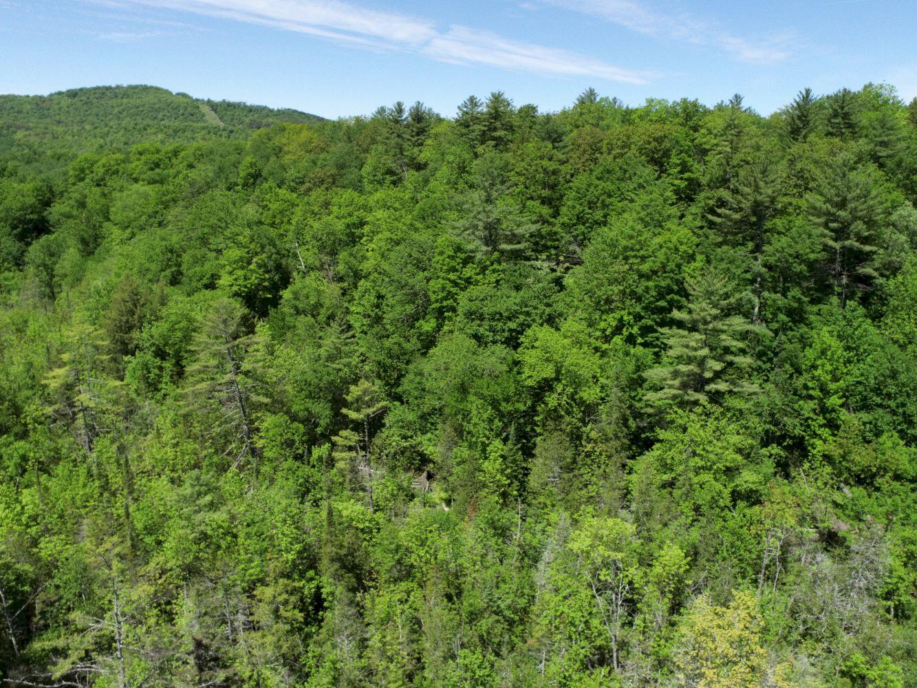 28 Nichols Hill Road Bingham, ME 04920 - Photo 74 of 78 DJI_0037