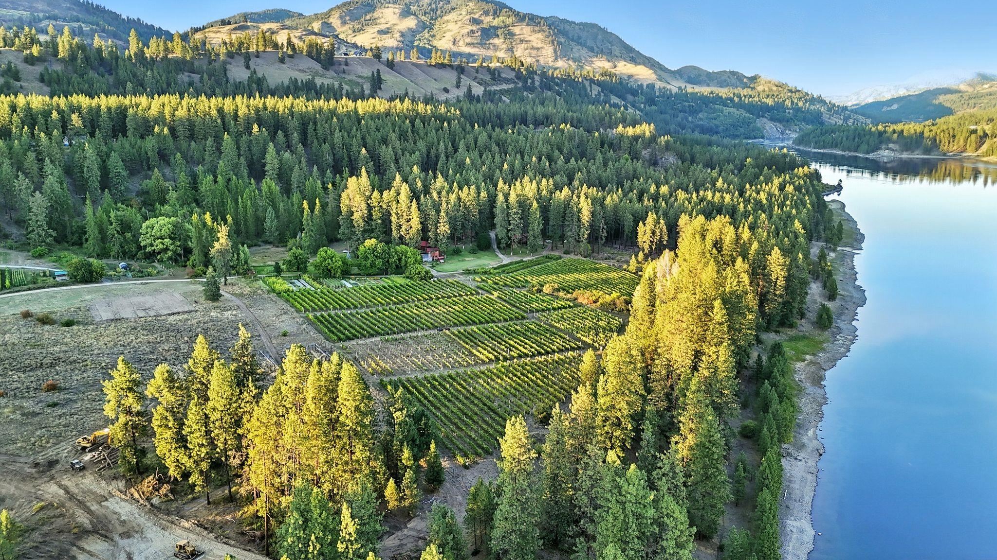 3752 Vineyard Way Kettle Falls, WA 99141 - Photo 42 of 50