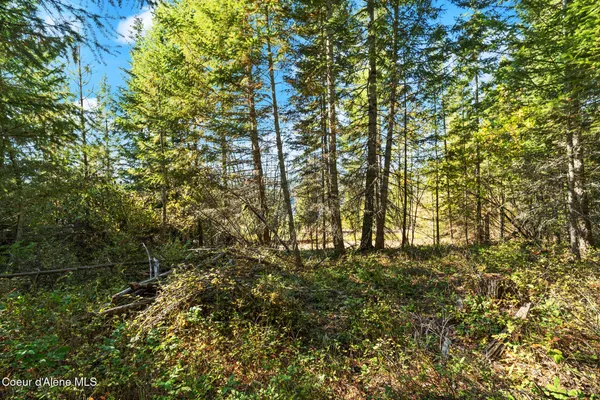 $159,000 | Nna Nna Sunsetter Lane, Cocolalla, ID 83813