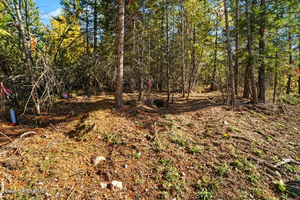 $159,000 | Nna Nna Sunsetter Lane, Cocolalla, ID 83813