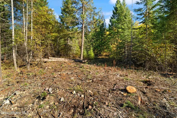 $159,000 | Nna Nna Sunsetter Lane, Cocolalla, ID 83813