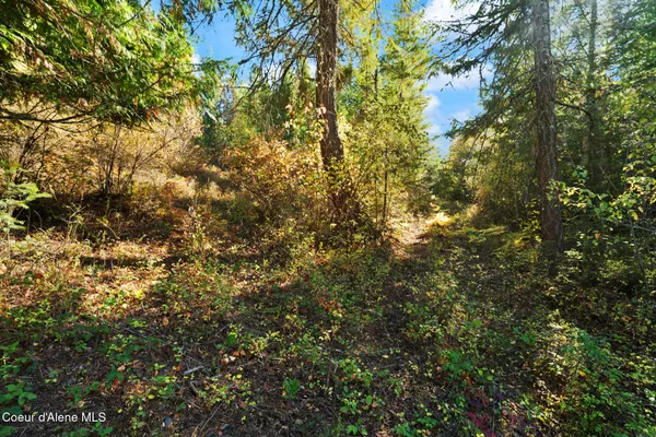 $159,000 | Nna Nna Sunsetter Lane, Cocolalla, ID 83813