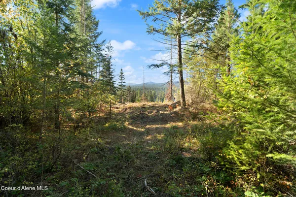 $159,000 | Nna Nna Sunsetter Lane, Cocolalla, ID 83813
