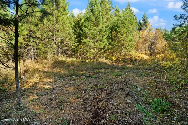 $159,000 | Nna Nna Sunsetter Lane, Cocolalla, ID 83813