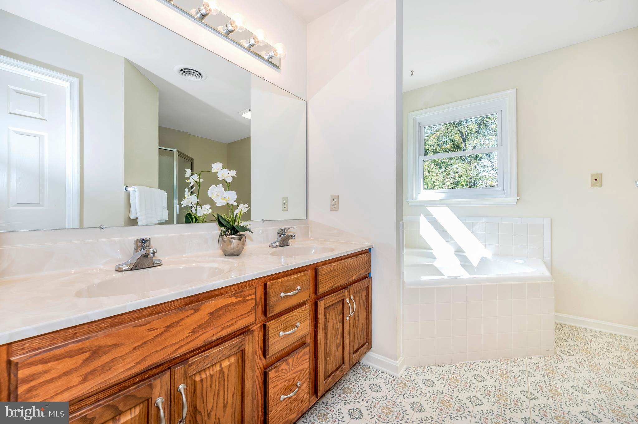 7530 Mountain Laurel Road Boonsboro, MD 21713 - Photo 29 of 63 Primary Bathroom