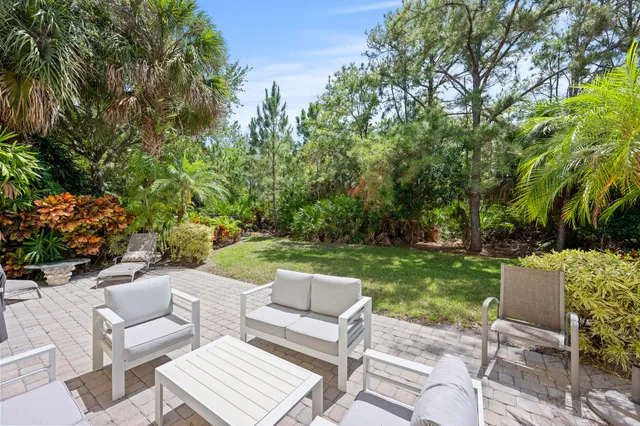 a living room with a couch and a potted plant
