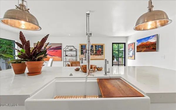 a kitchen with a faucet a potted plant and a window