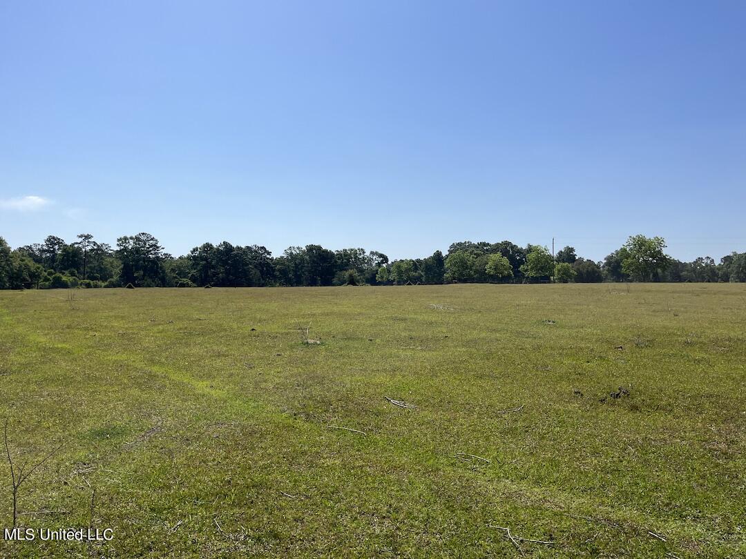 554 City Road Perkinston, MS 39573 - Photo 18 of 27 IMG_6247