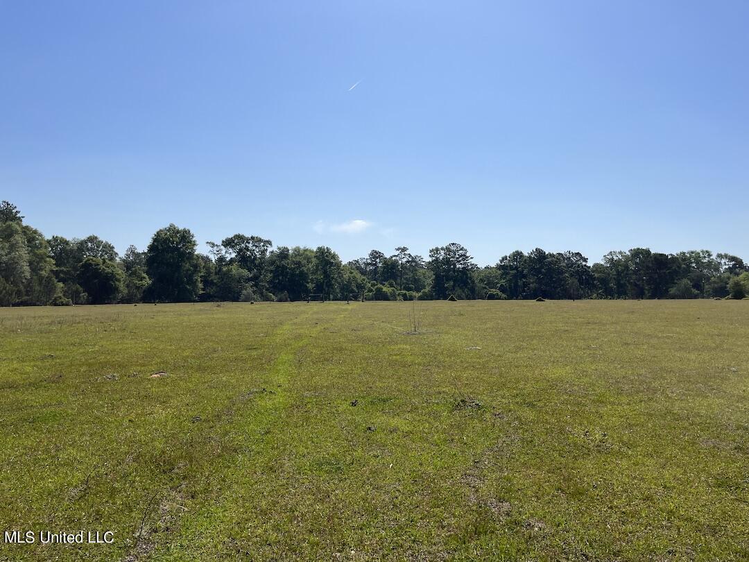 554 City Road Perkinston, MS 39573 - Photo 20 of 27 IMG_6249