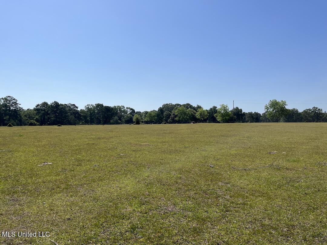 554 City Road Perkinston, MS 39573 - Photo 21 of 27 IMG_6250