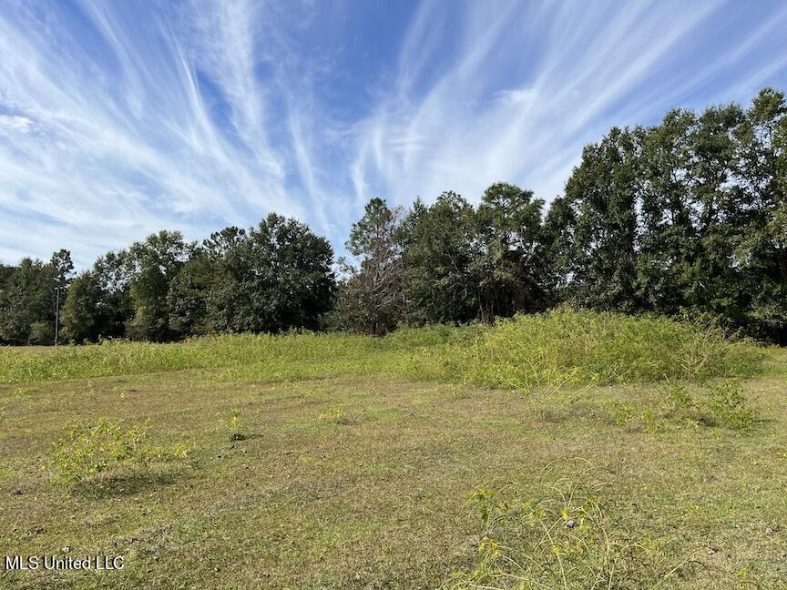554 City Road Perkinston, MS 39573 - Photo 22 of 27 IMG_5319