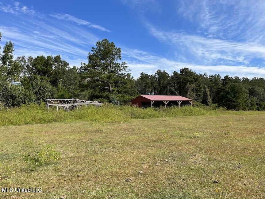 554 City Road Perkinston, MS 39573 - Photo 24 of 27 IMG_5321