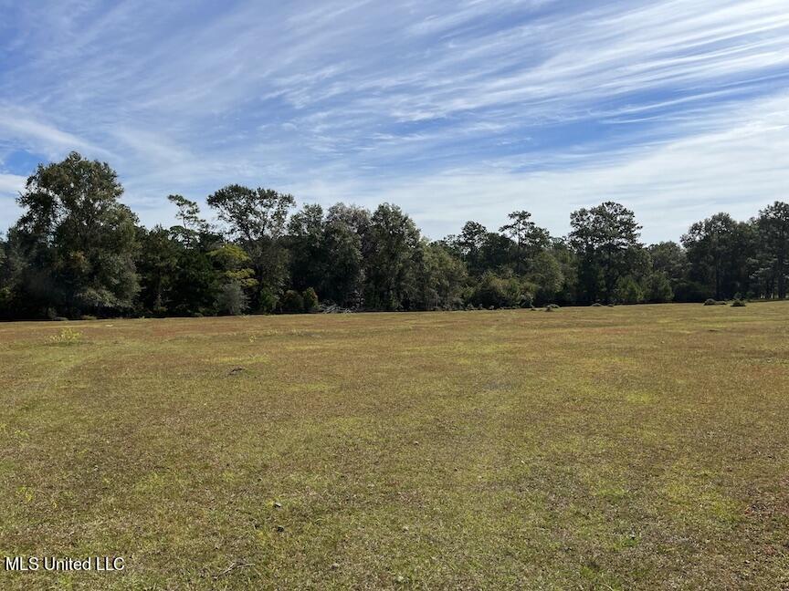 554 City Road Perkinston, MS 39573 - Photo 25 of 27 IMG_5323
