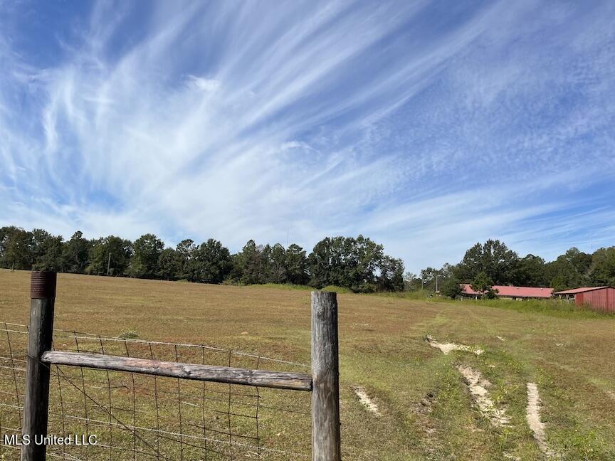 554 City Road Perkinston, MS 39573 - Photo 26 of 27 IMG_5324