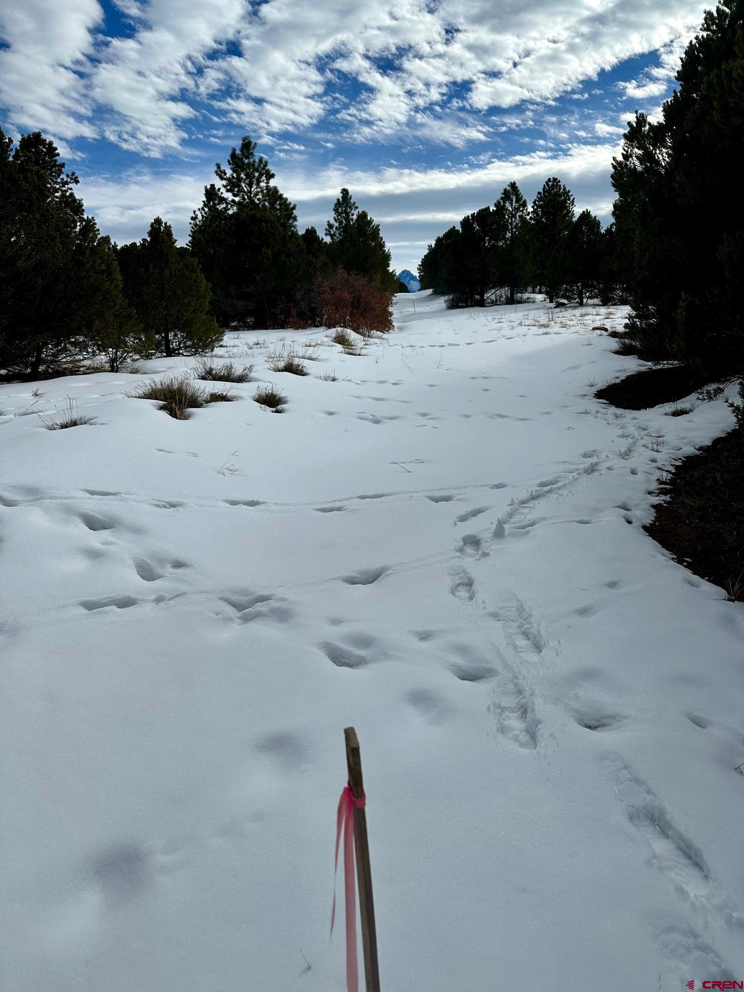 Tbd Tbd Badger North Trail Ridgway, CO 81432 - Photo 3 of 10 a view of ocean view with beach